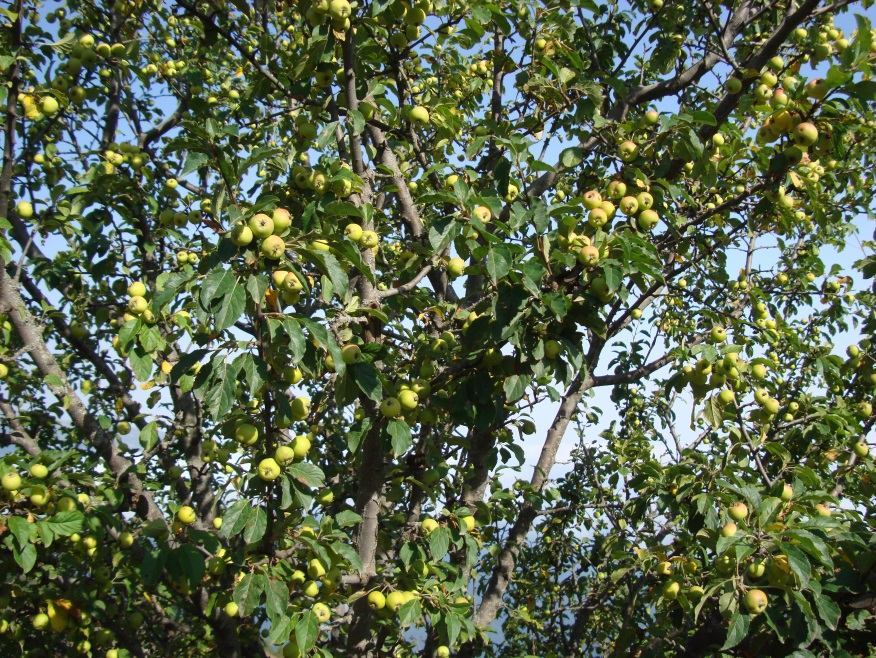 30
