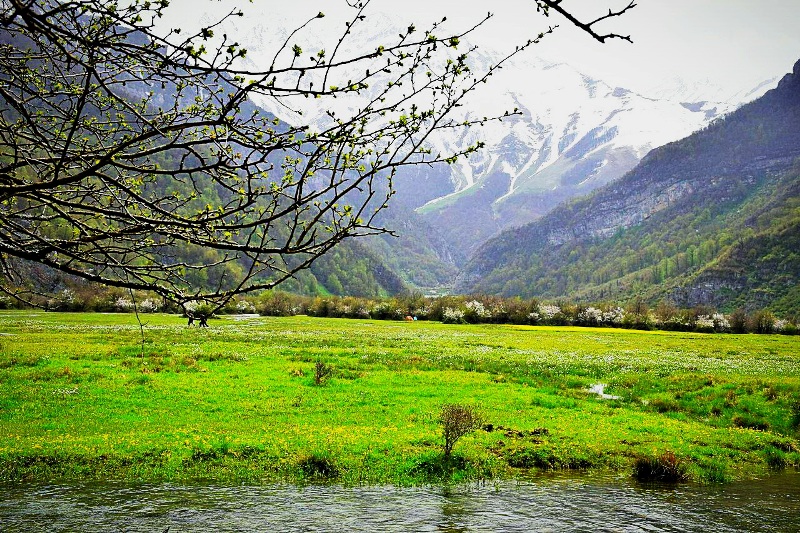 گزارش سفر به رامسر و شهسوار