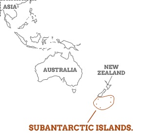 جزایر نیوزلندی مجاور قطب جنوب