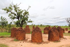 حلقه‌های سنگی سنگامبیا