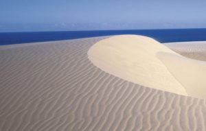 جزیره فریزر