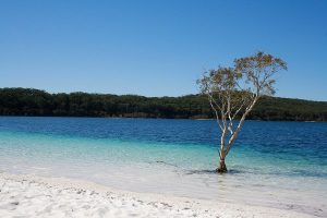 جزیره فریزر