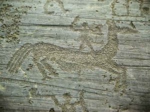 Rock Drawings in Valcamonica
